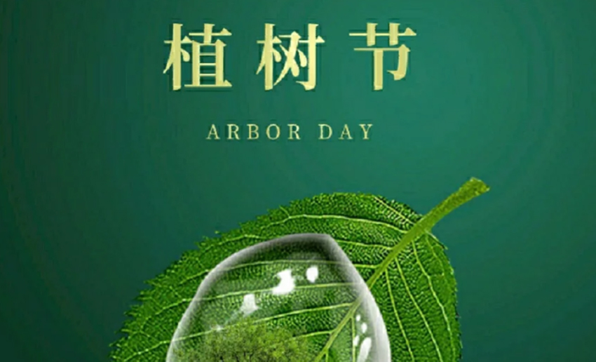 福天輥筒丨植樹節(jié)，播種希望，承載夢(mèng)想